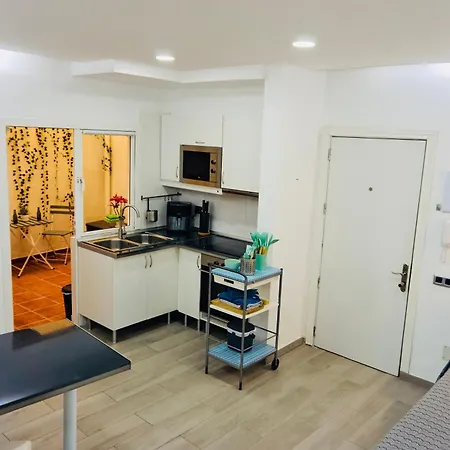 Loft Sirenita. Muy Centrico Con Patio Privado Apartamento Puerto de la Cruz (Tenerife)