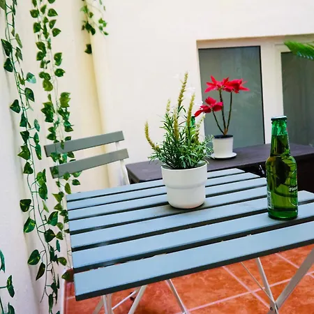 Apartamento Loft Sirenita. Muy Centrico Con Patio Privado